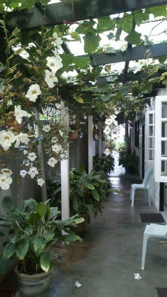 Hillview Inn Cameron Highlands Exterior foto